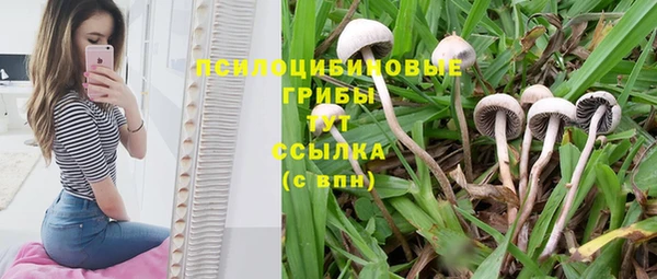 первитин Алзамай